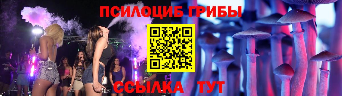 Псилоцибиновые грибы мицелий  Вход с VPN  Можайск 